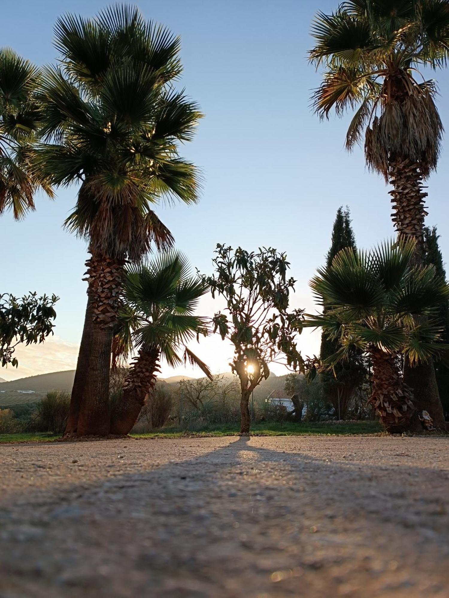 Cortijo Petra Bed & Breakfast Villanueva del Rosario Exterior photo